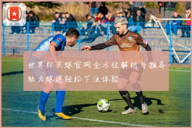 世界杯买球官网全方位解析与推荐助力球迷轻松下注体验