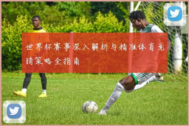 世界杯赛事深入解析与精准体育竞猜策略全指南