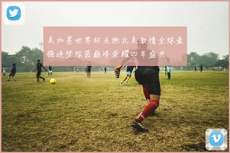 美加墨世界杯点燃北美激情全球豪强逐梦绿茵巅峰荣耀四年盛典