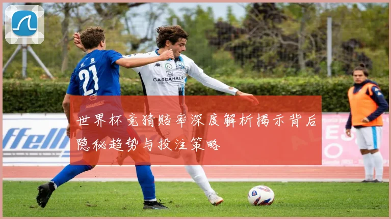 世界杯竞猜赔率深度解析揭示背后隐秘趋势与投注策略