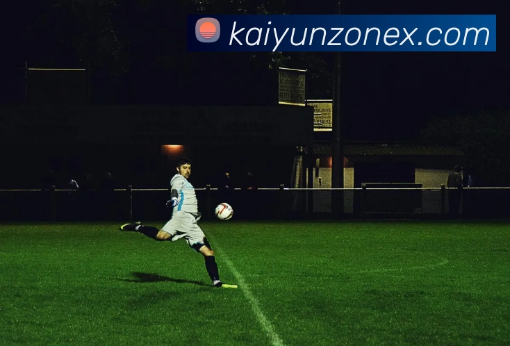 开云平台展示图